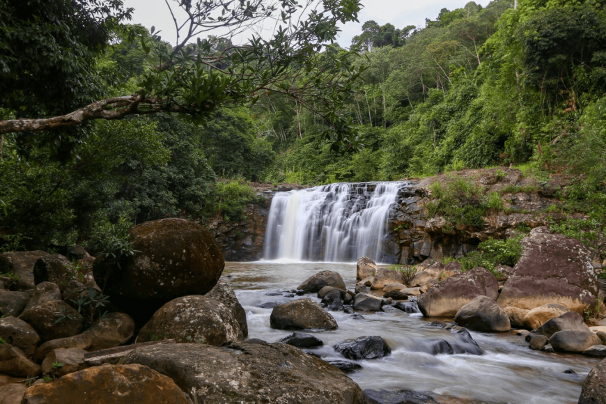 ម៉ាងដេន
