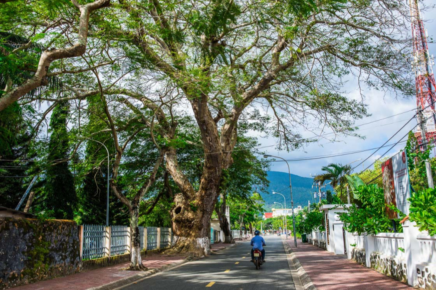 Escapadas a la playa en las islas Con Dao