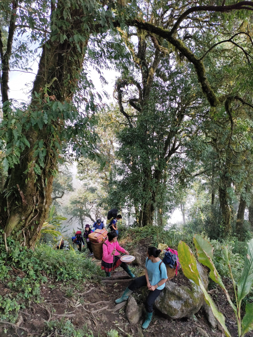trekking