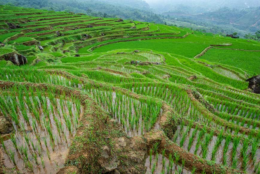 voyage durable au Vietnam