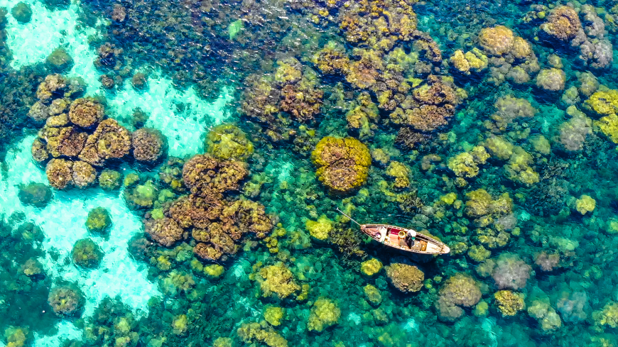 Das UNESCO-Biosphärenreservat schützt ein komplexes System aus Hart- und Weichkorallenriffen