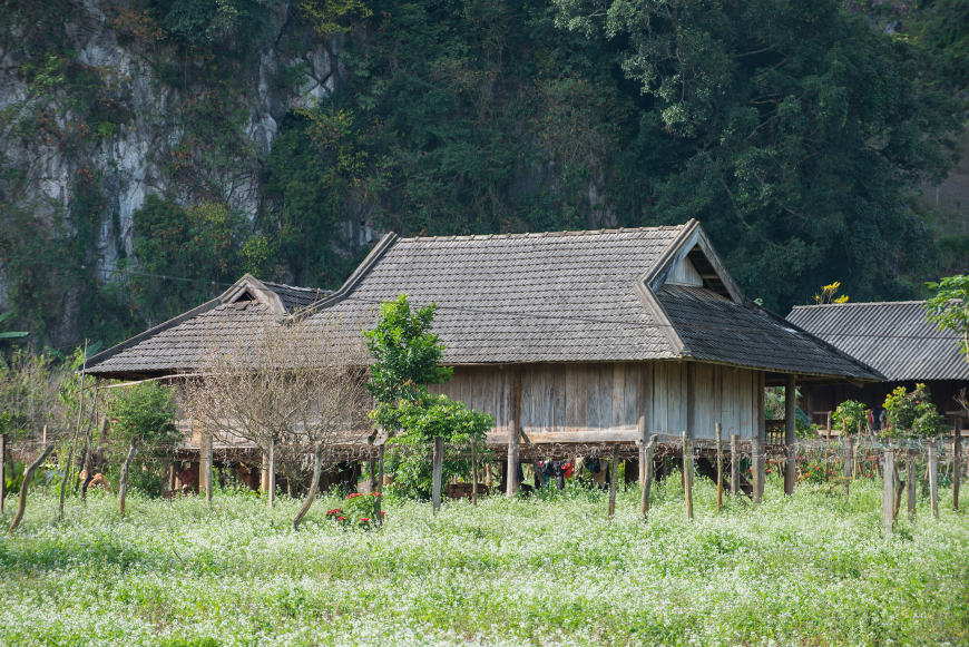 ម៉ុកចៅ