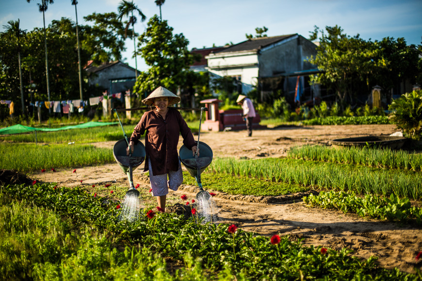 Hoi An Landschaft