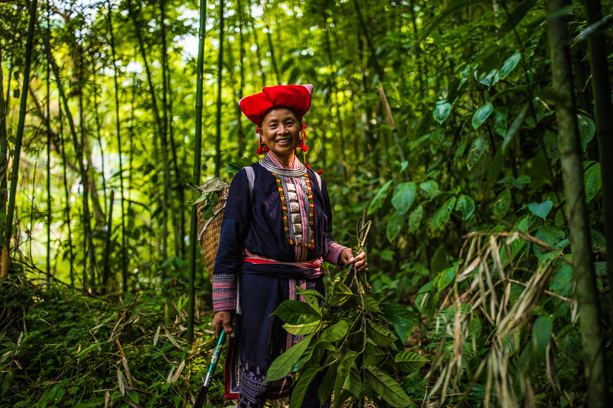 retiros de salud en vietnam