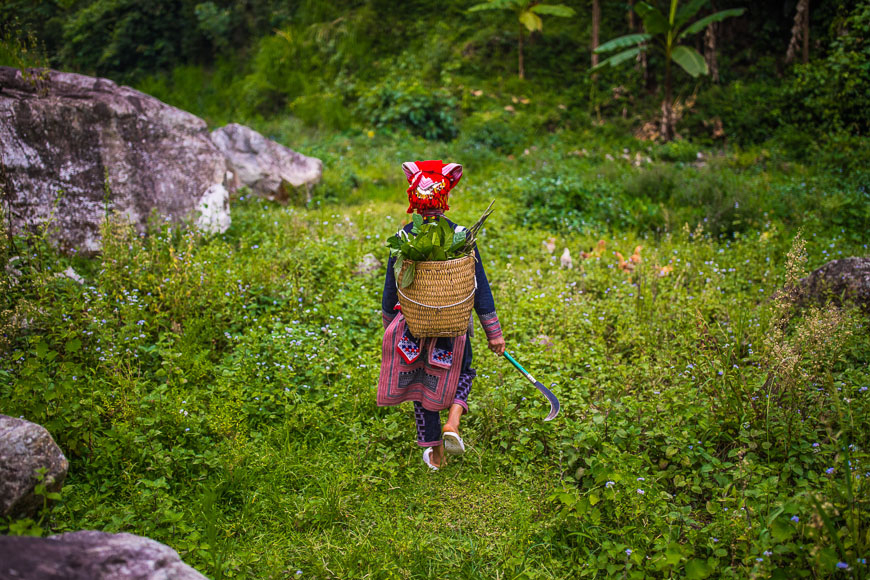 baños de hierbas en sapa