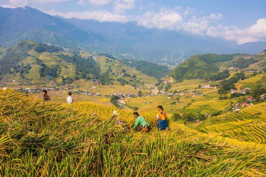 越南旅游月度指南