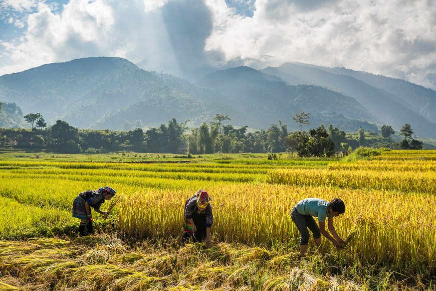 transport vers mu cang chai