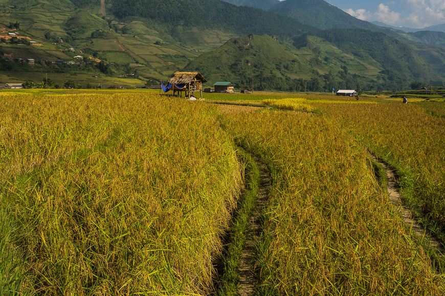 randonnée mu cang chai