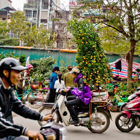 tet festival 2020