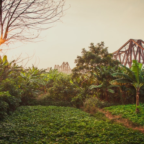 Sens Asia Travel Green Friday