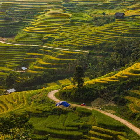 Vietnam Mountain Marathon 2021