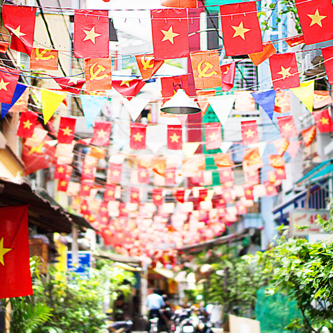 vietnamese reunification day