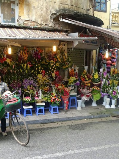 New branch opening in Hải Phòng, 15% off